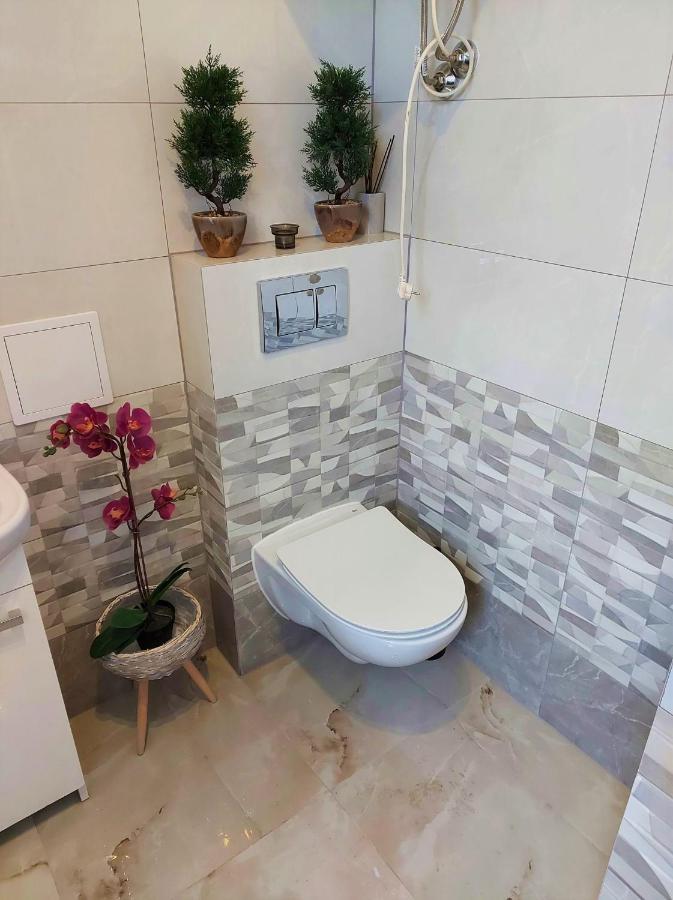Miracool Apartament Apartman Krakkó Kültér fotó